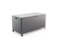 Caja Baúl para cojines